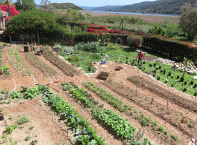 gallary_img3